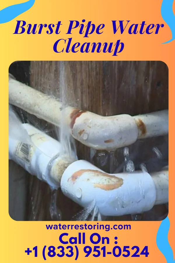 Burst Pipe Water Cleanup in Deer Park, WI