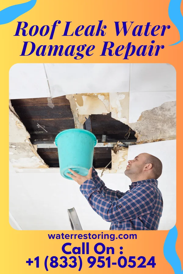 Roof Leak Water Damage Repair in Deer Park, WI