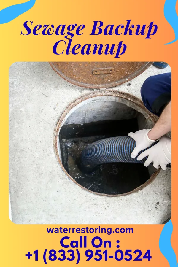 Sewage Backup Cleanup in Deer Park, WI