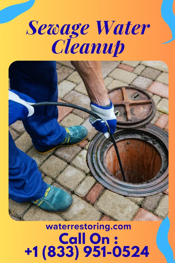 Sewage Water Cleanup in Deer Park, WI