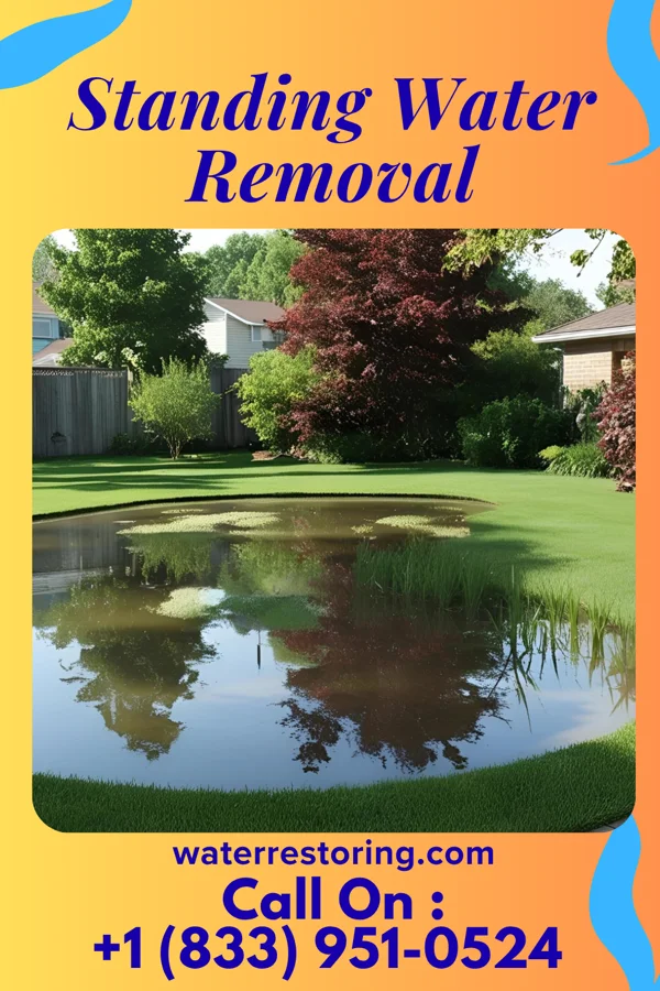 Standing Water Removal in Deer Park, WI